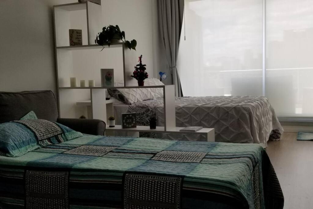 Brightness Big Balcony Palermo Hollywood Apartment Buenos Aires